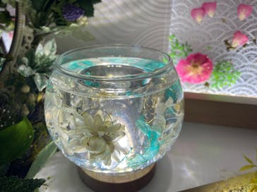 ずこうしつ〜sugamo〜に投稿された画像（2021/12/13）