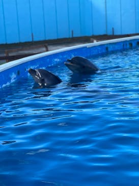 南知多ビーチランド＆南知多おもちゃ王国に投稿された画像（2021/12/13）