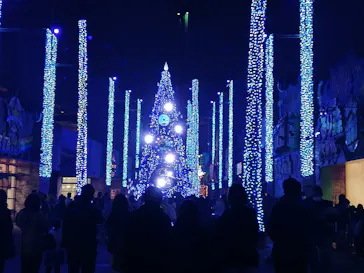 ひらかたパークに投稿された画像（2021/12/13）