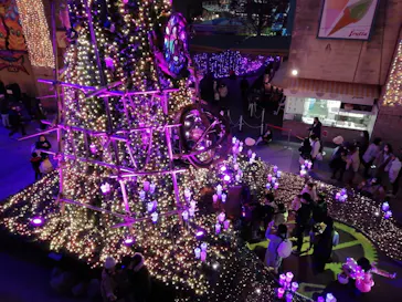 ひらかたパークに投稿された画像（2021/12/13）