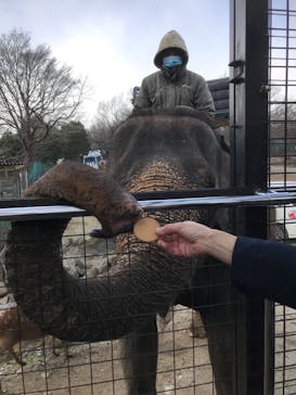 那須サファリパークに投稿された画像（2021/12/13）