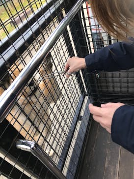 那須サファリパークに投稿された画像（2021/12/13）