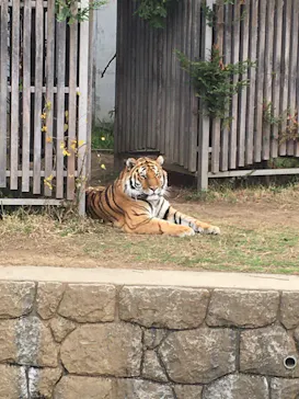 天王寺動物園に投稿された画像（2021/12/13）