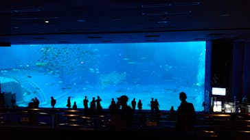 沖縄美ら海水族館に投稿された画像（2021/12/13）