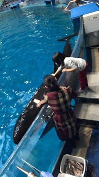 マクセル アクアパーク品川に投稿された画像（2021/12/13）