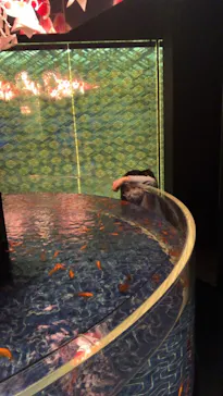 すみだ水族館に投稿された画像（2021/12/13）