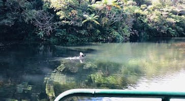 ビオスの丘に投稿された画像（2021/12/13）