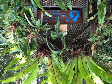 ビオスの丘に投稿された画像（2021/12/13）