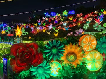 伊豆ぐらんぱる公園に投稿された画像（2021/12/13）