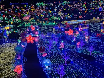 伊豆ぐらんぱる公園に投稿された画像（2021/12/13）