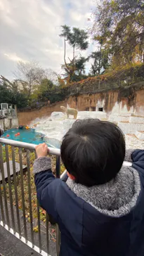 天王寺動物園に投稿された画像（2021/12/13）