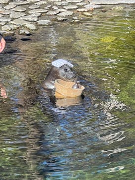箱根園水族館に投稿された画像（2021/12/13）