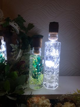 ずこうしつ〜sugamo〜に投稿された画像（2021/12/13）