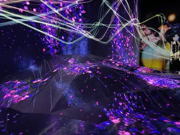 森ビル デジタルアート ミュージアム：エプソン チームラボボーダレスに投稿された画像（2021/12/13）