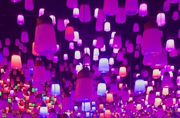 森ビル デジタルアート ミュージアム：エプソン チームラボボーダレスに投稿された画像（2021/12/13）