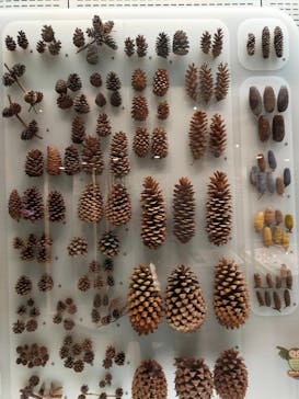 国立科学博物館に投稿された画像（2021/12/13）