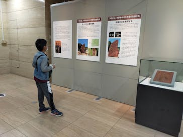 国立科学博物館に投稿された画像（2021/12/13）