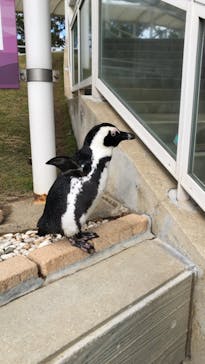 マリンワールド海の中道に投稿された画像（2021/12/13）