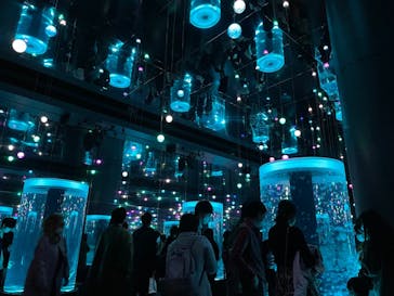 マクセル アクアパーク品川に投稿された画像（2021/12/14）