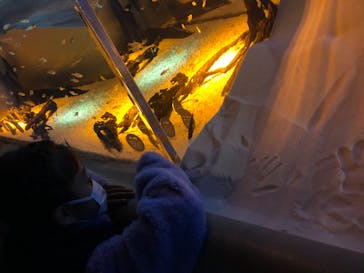 カワスイ 川崎⽔族館に投稿された画像（2021/12/14）