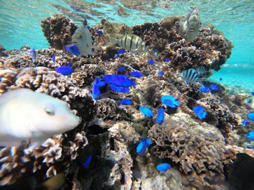 武藤潜水に投稿された画像（2021/12/14）