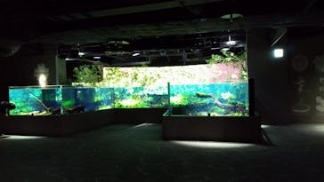 カワスイ 川崎⽔族館に投稿された画像（2021/12/13）