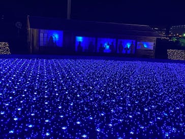 東京メガイルミに投稿された画像（2021/12/14）