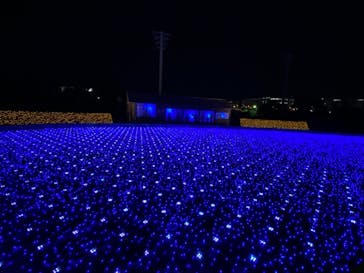 東京メガイルミに投稿された画像（2021/12/14）