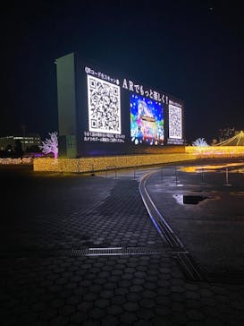 東京メガイルミに投稿された画像（2021/12/14）