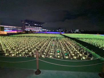 東京メガイルミに投稿された画像（2021/12/14）