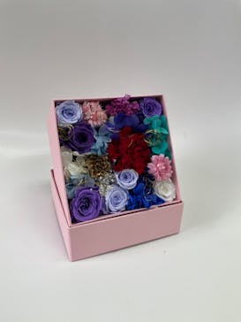 ずこうしつ〜sugamo〜に投稿された画像（2021/12/14）