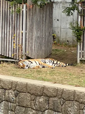 天王寺動物園に投稿された画像（2021/12/14）