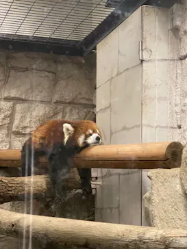 天王寺動物園に投稿された画像（2021/12/14）