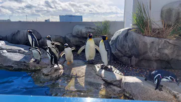 仙台うみの杜水族館に投稿された画像（2021/12/14）