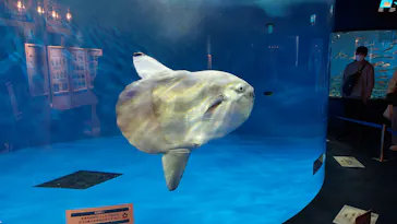 仙台うみの杜水族館に投稿された画像（2021/12/14）