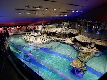 すみだ水族館に投稿された画像（2021/12/14）