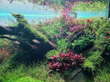 すみだ水族館に投稿された画像（2021/12/14）