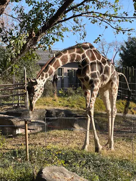 天王寺動物園に投稿された画像（2021/12/14）