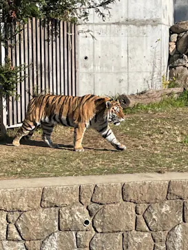 天王寺動物園に投稿された画像（2021/12/14）