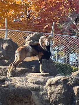 天王寺動物園に投稿された画像（2021/12/14）