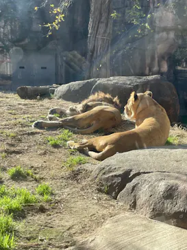 天王寺動物園に投稿された画像（2021/12/14）