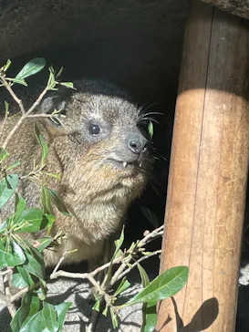 天王寺動物園に投稿された画像（2021/12/14）