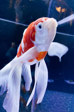 すみだ水族館に投稿された画像（2021/12/14）