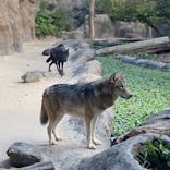 神戸どうぶつ王国に投稿された画像（2021/12/14）