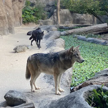 神戸どうぶつ王国に投稿された画像（2021/12/14）