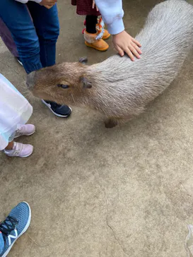 神戸どうぶつ王国に投稿された画像（2021/12/14）