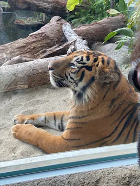 神戸どうぶつ王国に投稿された画像（2021/12/14）