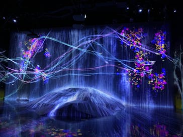 森ビル デジタルアート ミュージアム：エプソン チームラボボーダレスに投稿された画像（2021/12/14）