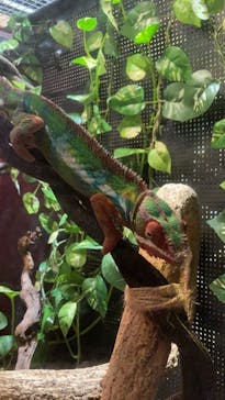 カワスイ 川崎⽔族館に投稿された画像（2021/12/14）