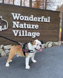 わんダフルネイチャーヴィレッジに投稿された画像（2021/12/14）